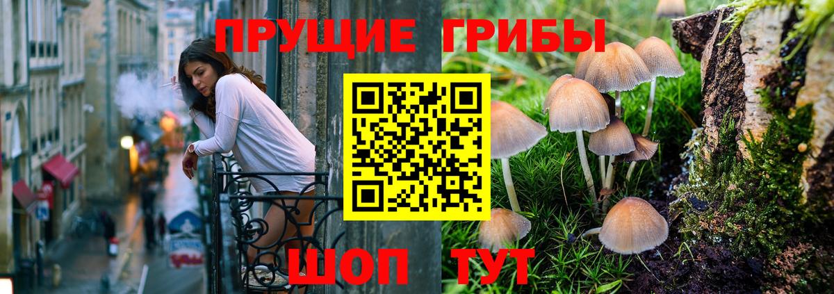 где купить наркоту  Псилоцибиновые грибы GOLDEN TEACHER  Галлюциногенные грибы мицелий  Вход с VPN  Трёхгорный 