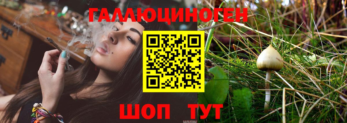 Галлюциногенные грибы GOLDEN TEACHER Трёхгорный